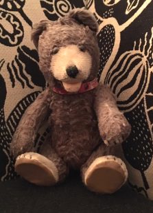 Teddy